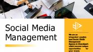 Best Social Media Management Agency in Chandigarh