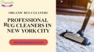 Certified Rug Cleaning NYC Service (1)