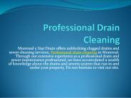 Professional Drain Cleaning
