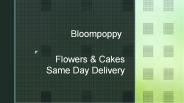 Bloom Florist Auckland – Contact now!