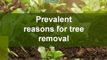 Prevalent reasons for tree removal