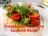 Avocado and Herb Pesto Sandwich Recipe by Rootd