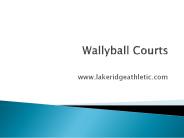Wallyball Courts