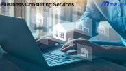 Business Consulting Services