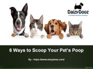 6 Ways to Scoop Your Pet’s Poop