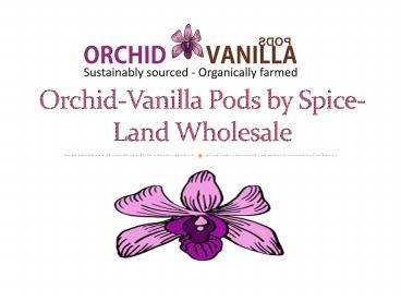 Vanilla Beans – Spiceland Wholesale