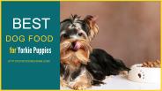 petsfoodreviews (2)