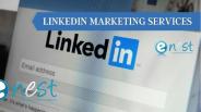 Linkedin Marketing Services