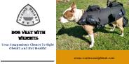 Dog vest with weights