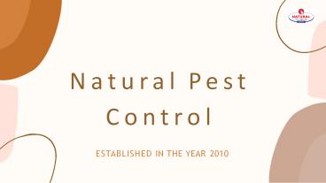 Best pest control company (1)