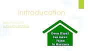 Deen Dayal Plot Options