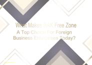 Professional Experts of RAK Free Zone Business Setup   https://www.dubaibusinesssetup.ae/rak-free-zone-company-formation/