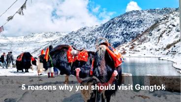 5 Reasons Why You Should Visit Gangtok