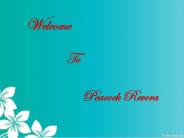 5 Peacock Kitchen Accessories Used by Professional Chefs