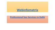 Professional SEO Services In Delhi