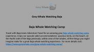 Baja Whale watching camp
