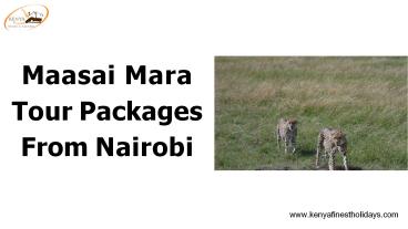 Maasai Mara tour packages from Nairobi (1)