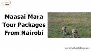 Maasai Mara tour packages from Nairobi (1)