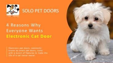 4 Reasons Why Everyone Wants Electronic Cat Door