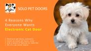 4 Reasons Why Everyone Wants Electronic Cat Door