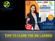 Tips To Climb the HR Ladder