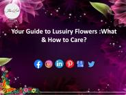Your Guide to Lusuiry Flowers :What & How to care?