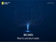 Big Data: What it is and why it matters