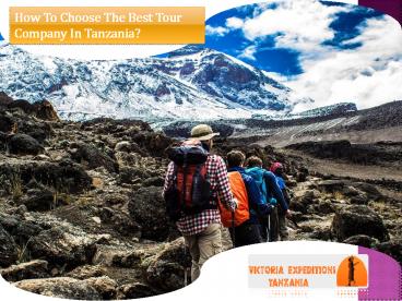 How To Choose The Best Tour Company In Tanzania