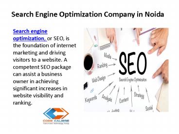 Search Engine Optimization Company in Noida