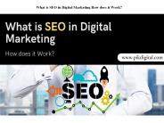 What is SEO in Digital Marketing and How does it Work?