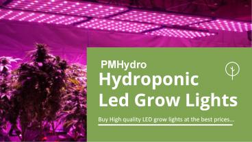 LED Grow Lights Australia | Wholesale Hydroponic Grow Kits – PMHydro