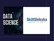 Skillshiksha Best E-Learing platform for UX&UI