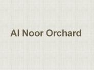 Al Noor Orchard Aim