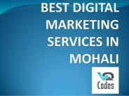 Best Digital Marketing Services in Mohali