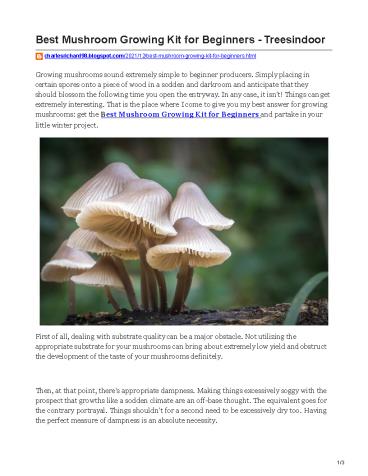 Best Mushroom Growing Kit for Beginners - Treesindoor