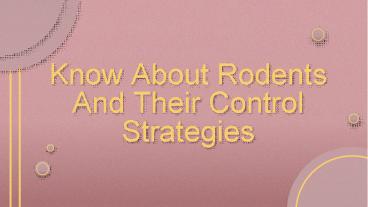 Know About Rodents And Their Control Strategies