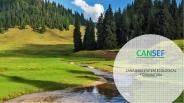 Settlement Services by Non Profit Organization Cansef