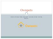 Best quality pet carrier in USA