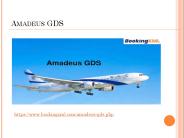 Amadeus GDS (2)