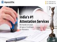 Online Apostille certificate & Document Near Me
