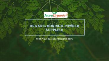 Organic Moringa Powder Supplier | Bulk Moringa Powder Supplier