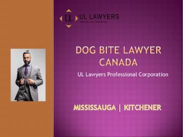 Dog Bite Lawyer Canada