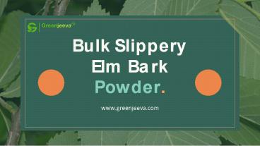 Bulk Slippery Elm Bark Powder | Organic Slippery Elm Bark Powder Supplier
