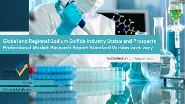 Global and Regional Sodium Sulfide Industry Status and Prospects Professional Market Research Report Standard Version 2021-2027
