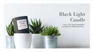 WoodWick Candles Candles: Luxury Collection