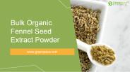 USDA Approved Bulk Organic Fennel Seed Extract Powder Supplier
