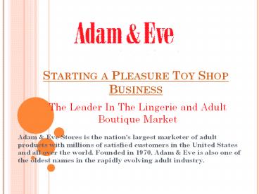 Starting a Pleasure Toy Shop Business (1)