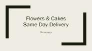 Same Day Flower Delivery Services New Zealand