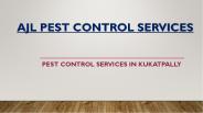 Pest Control Services in Kukatpally (2)