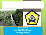 BPP Giri Mulya